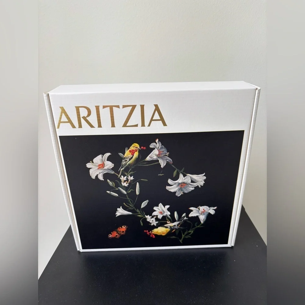Aritzia small gift box